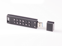 Флешка с защитой от записи DataLock PRO3 64 Gb USB 3.0